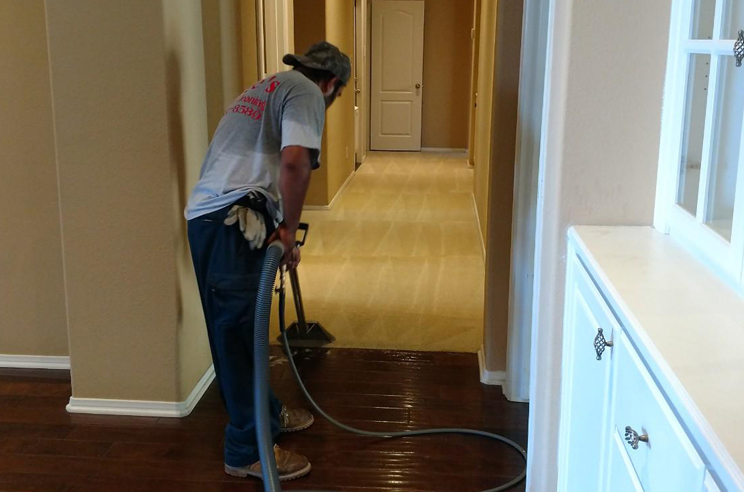 Carpet Cleaning